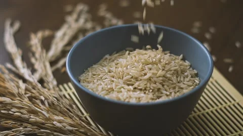 Rice Video stock 148617757