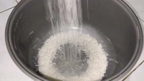 Rice Stock Footage 160667464