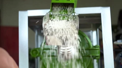 Rice Stock Footage 221876117
