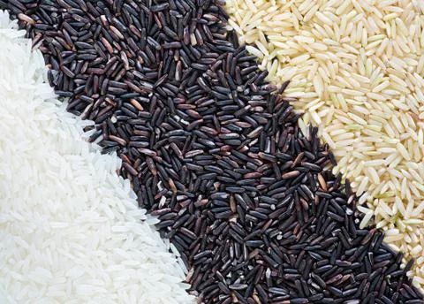 Rice grain background Stock Photos