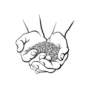 Rice grain in hands. Vector silhouette of seed Stock Illustration