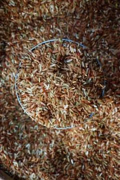 Rice grain Stock Photos