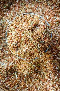 Rice grain Stock Photos