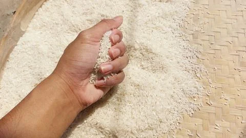 Rice grain Stock Photos