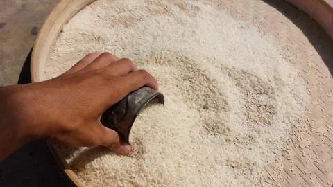 Rice grain Stock Photos