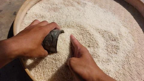 Rice grain Stock Photos