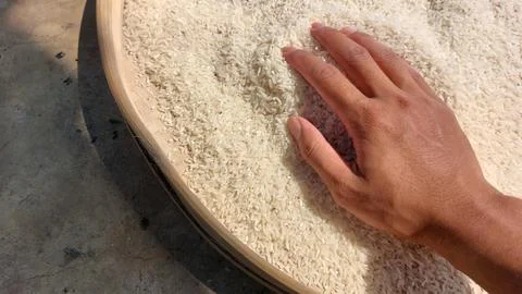 Rice grain Stock Photos