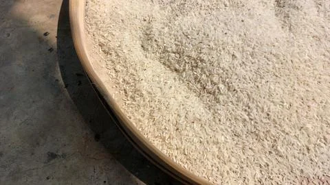 Rice grain Stock Photos