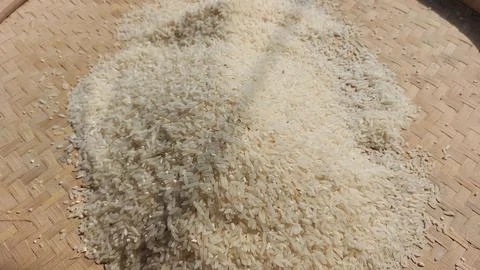Rice grain Stock Photos