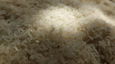 Rice grain Stock Photos