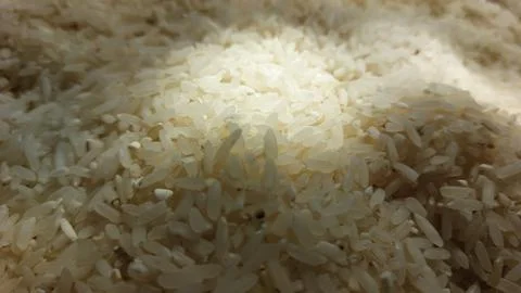 Rice grain Foto stock