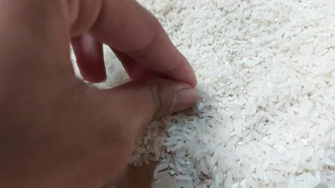 Rice grain Stock Photos