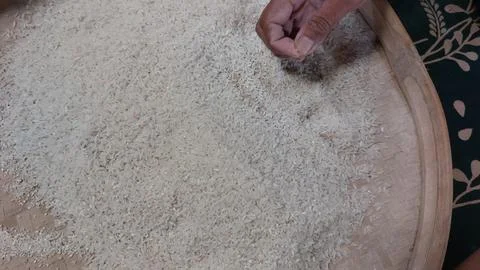 Rice grain Stock Photos