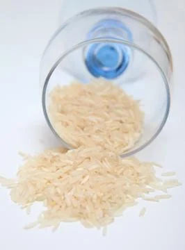 Rice grain raw Stock Photos