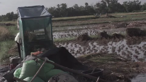 Rice grain remover Stock Footage 154918150