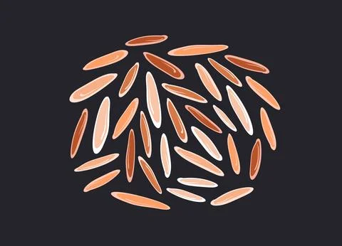 Rice grain set. Vector different red, brown, white seed isolated on black bac Stock Illustration