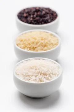Rice grain types foreground focus. Stock Photos