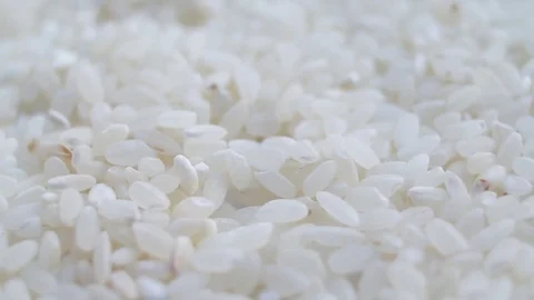 Rice Grains Background Stock Footage 83389102