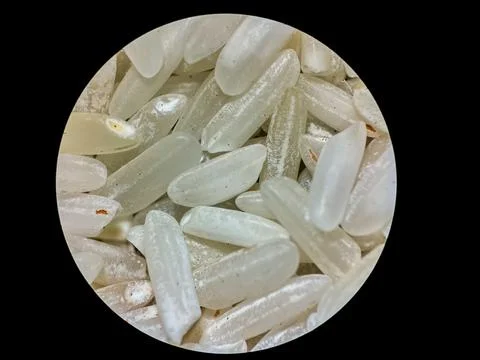 Rice Grains Close-Up Under Microscope – High Detail Macro View Stock Photos