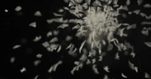 Rice grains falling from below, slowmotion low angle 4K pro res Video stock 275897916