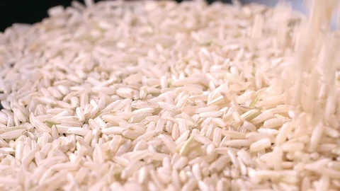 Rice grains falling down in slow motion macro on black background 動画素材 121645081