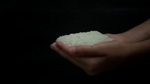 Rice grains falling from hand in slow motion Stock Footage 116489998