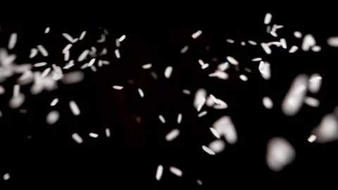 Rice grains falling from two sides into black background, studio shot. Vidéo 146894700