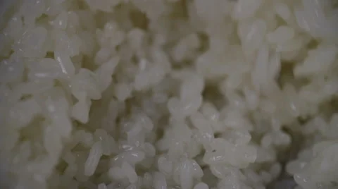 Rice grains Stock Footage 64122528