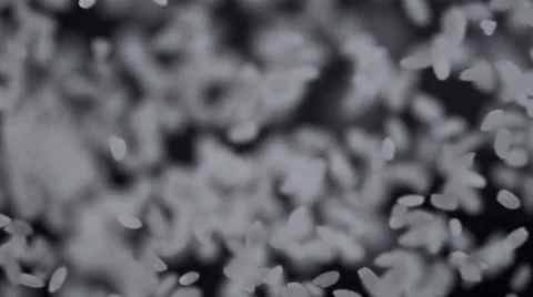 Rice grains Stock Footage 64123039