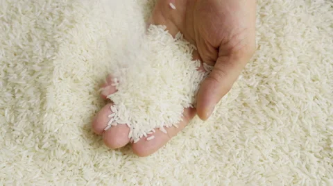 Rice grains in the hands Stock Footage 53765296
