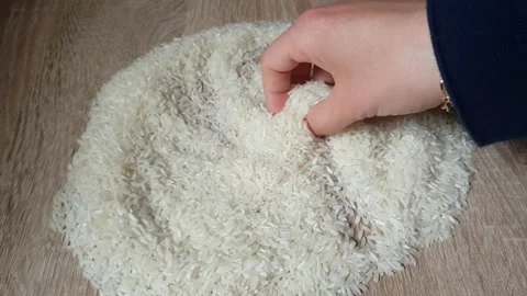 Rice Grains In The Hands Stock Footage 137907118