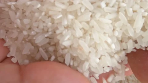 Rice grains that have been cleaned of hu... | Stock Video | Pond5