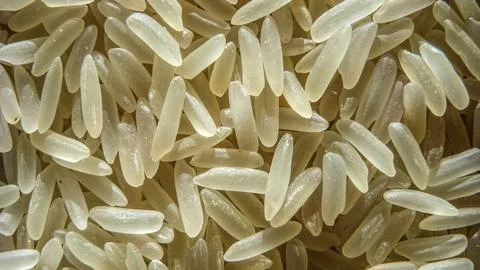 Rice Grains Macro Stock Photos