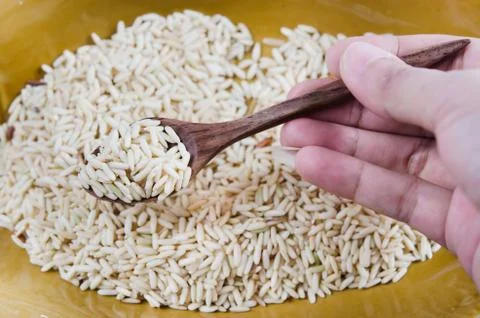 Rice grains Stock Photos
