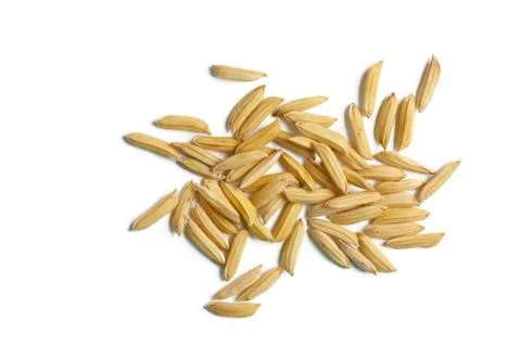 Rice grains Stock Photos