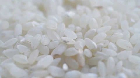 Rice Grains Rotating Stock Footage 83389039
