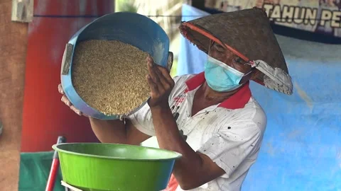 Rice Grinding Machine Stock Footage 287319354
