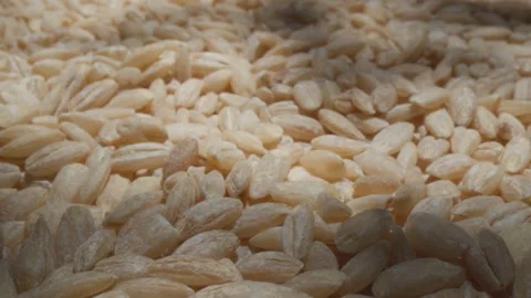 Rice groats in Close-Up Stock-Footage 297495613