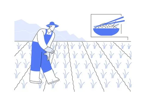 Rice growing abstract concept vector illustration. イラスト素材