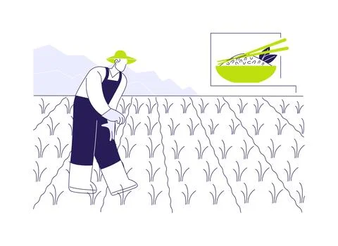 Rice growing abstract concept vector illustration. Stock Illustration