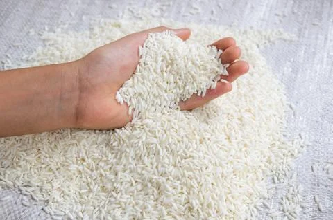Rice on hand Stock Photos