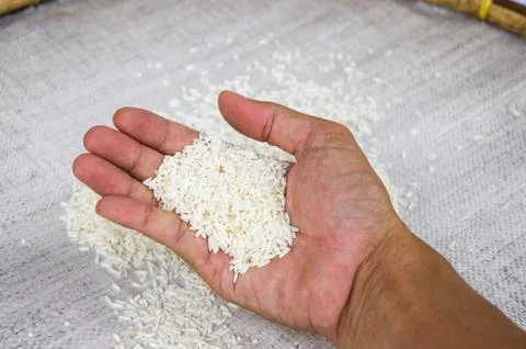 Rice on hand Stock Photos