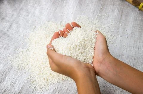 Rice on hand Stock Photos