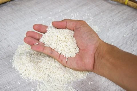 Rice on hand Stock Photos