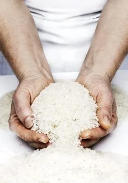 Rice in the hands Stock Photos