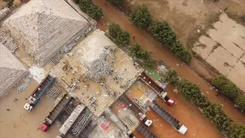 Rice Harvest Stock Footage 169861384