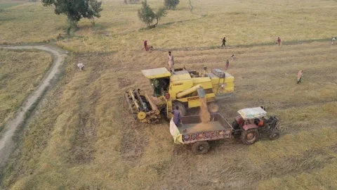 Rice Harvest Machine Footage in Fields by Orbiting Drone Stock Footage 171344865
