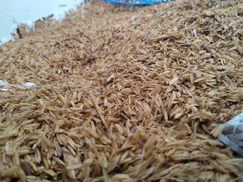 Rice hulls Stock-Fotos
