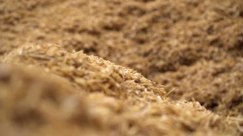 Rice husk Stock Footage 221874741