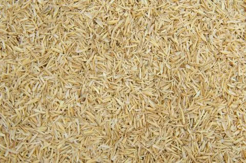 Rice husk Foto stock